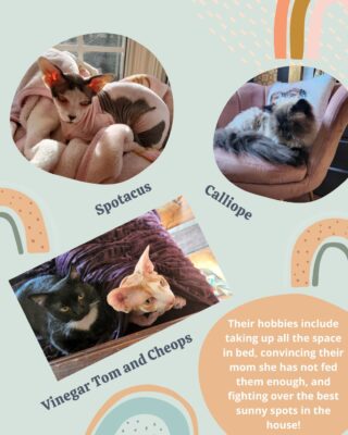 July Pets of the Month: Vinegar Tom, Cheops, Calliope, and Spotacus 🐈 

If there's one thing about OA you should know... we love our pets here!

Fun fact: Cheops is a Scorpio

#petsofOA #lifeatoutlook #petofthemonth
